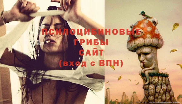 Альфа ПВП Володарск