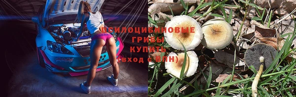 Альфа ПВП Вязники