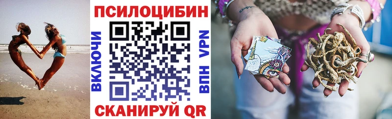 MEGA онион  Чернушка  Галлюциногенные грибы Psilocybe 